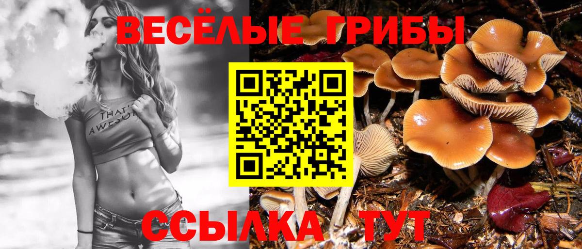 Галлюциногенные грибы Cubensis  Вход с VPN  Павловский Посад 