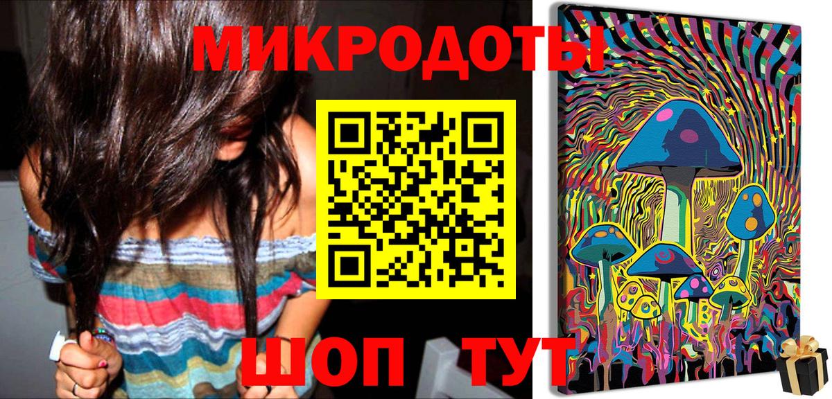Псилоцибиновые грибы Psilocybine cubensis Павловский Посад
